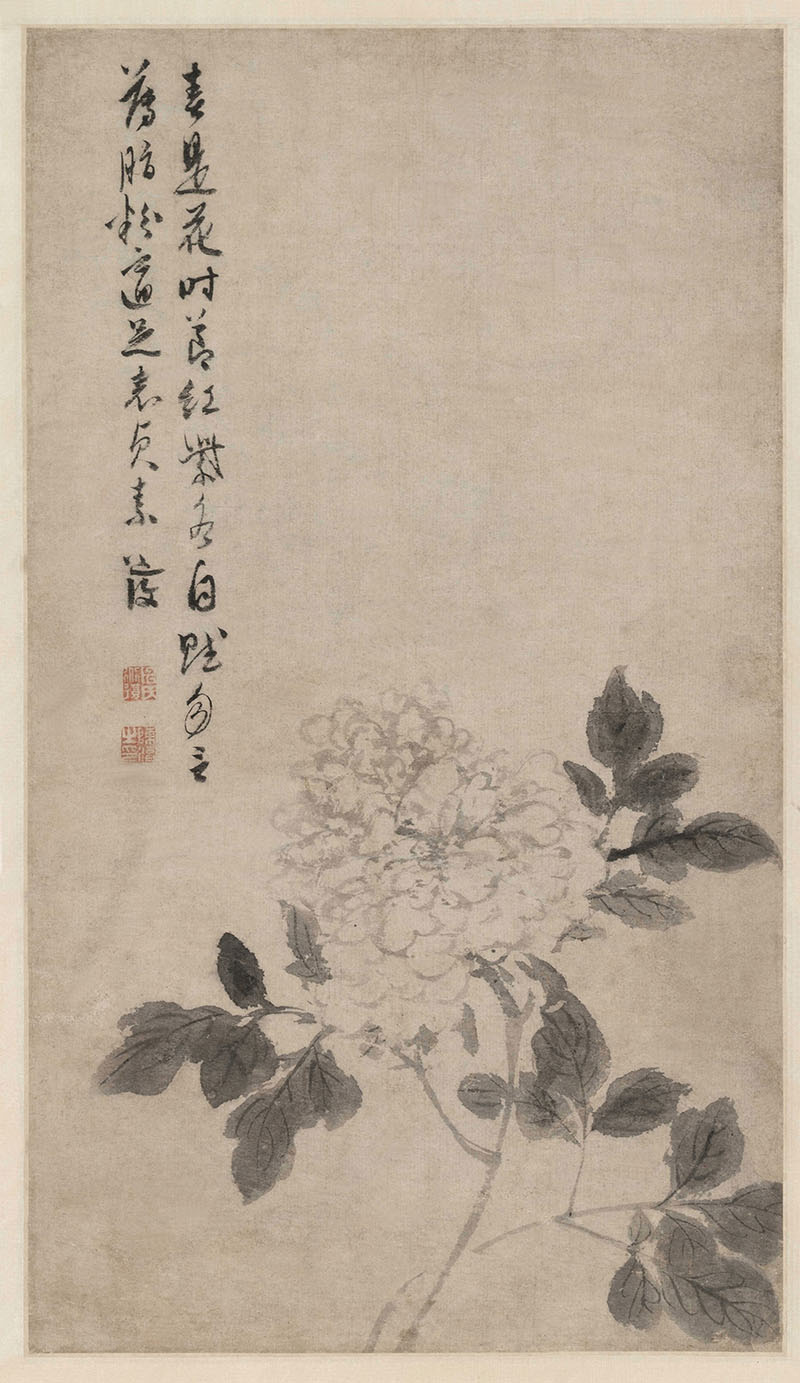 明 陈淳 牡丹花卉图纸本54.jpg