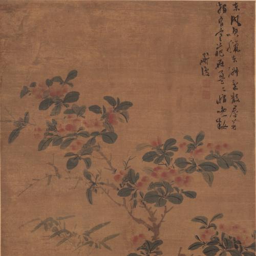 明-陈淳-山茶花图